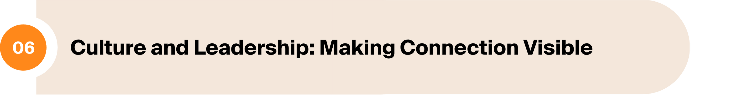 6. Culture and Leadership: Making Connection Visible